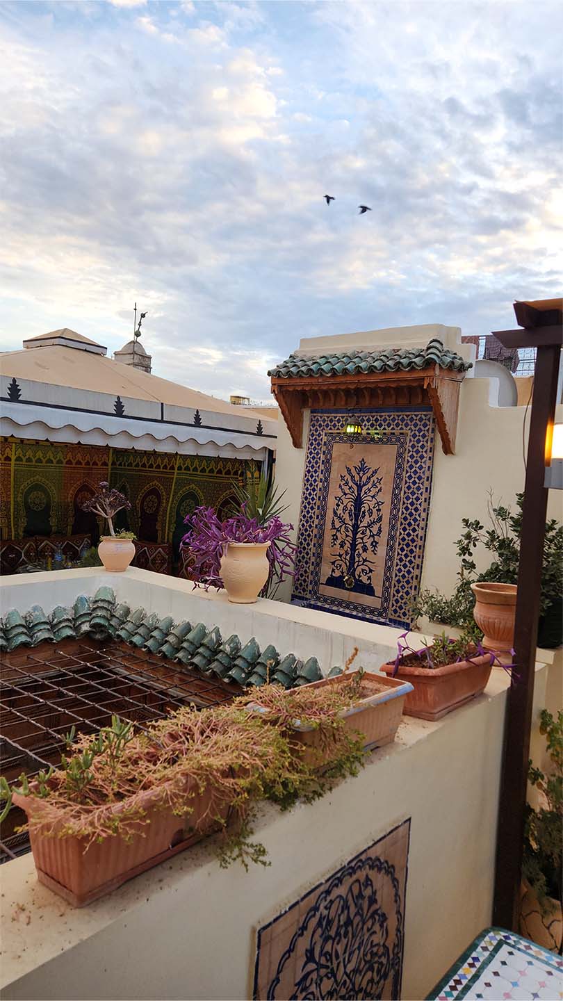 Rooftop view over Fes city from Benyamna Restaurant